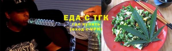 шишки Инсар