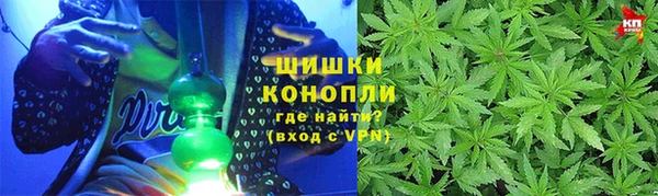 индика Иннополис