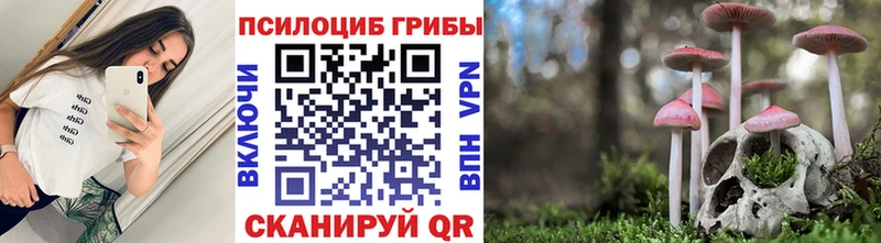 MEGA как зайти  где купить наркотик  Нижняя Салда  это наркотические препараты  Псилоцибиновые грибы Psilocybine cubensis 